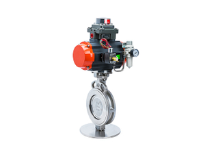 Pneumatic High Performance Butterfly Valve