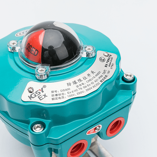 Accessories--Limit Switch Box DS300-1